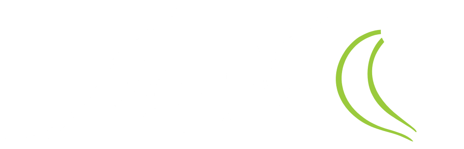 وب سایت رسمی دکتر پوریا افلاکی
